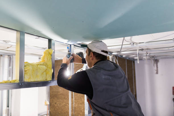 Best Soundproof Insulation Installation  in Hampstead, MD